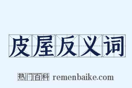 皮屋反义词是什么意思的图片